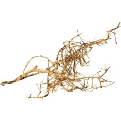 Underwater Treasures Bird Nest Wood Fish Ornament