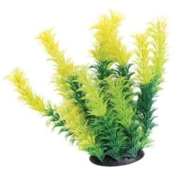 Underwater Treasures Diandra Fish Ornament