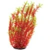 Underwater Treasures Red Ludwigia Fish Plant