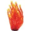 Underwater Treasures Orange Cabomba Fish Plant 1 Underwater Treasures Orange Cabomba Fish Plant -Fish Products 558526 MAIN. AC SS1800 V1657659603
