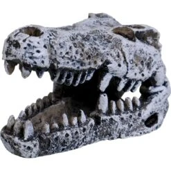 Underwater Treasures Crocodile Skull Fish Ornament