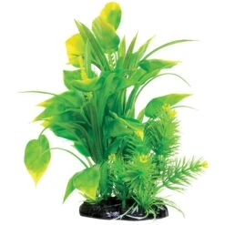 Underwater Treasures Spade Fern Fish Plant, 8.5-in