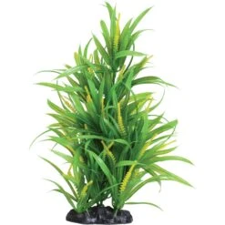 Underwater Treasures Sunfire Passion Fish Plant, 12-in
