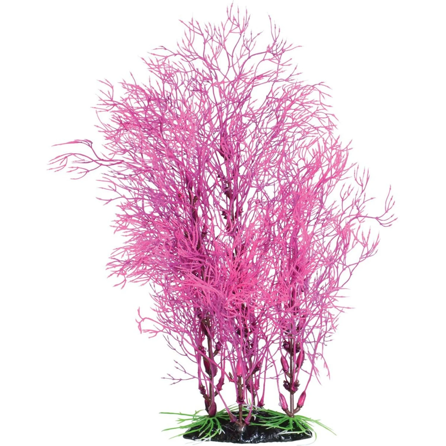 Underwater Treasures Fuscia Fern Fish Plant, 14-in 3 Underwater Treasures Fuscia Fern Fish Plant, 14-in