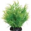 Underwater Treasures Lemon Grass Fish Ornament, 6-in -Fish Products 559814 MAIN. AC SS1800 V1657659611