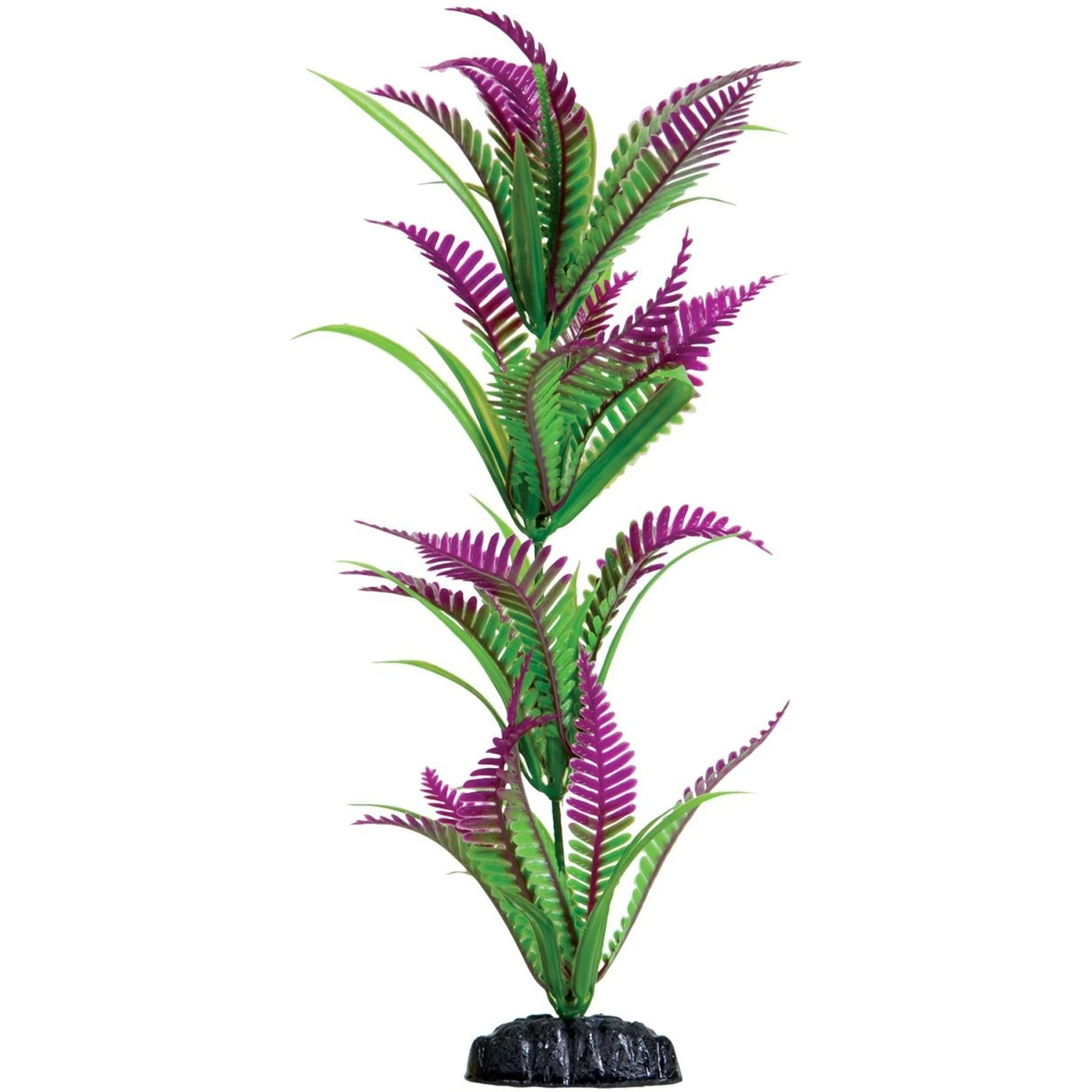 Underwater Treasures Heart Fern Fish Plant 3 Underwater Treasures Heart Fern Fish Plant