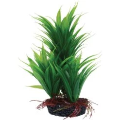 Underwater Treasures Emerald Fern Fish Plant, 8-in