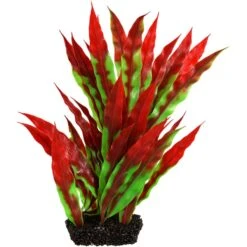 Underwater Treasures Vasiliki Crypt Fish Plant, 8-in