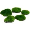 Underwater Treasures Mini Moss Rock Fish Ornament, 5 Count -Fish Products 561342 MAIN. AC SS1800 V1658002238