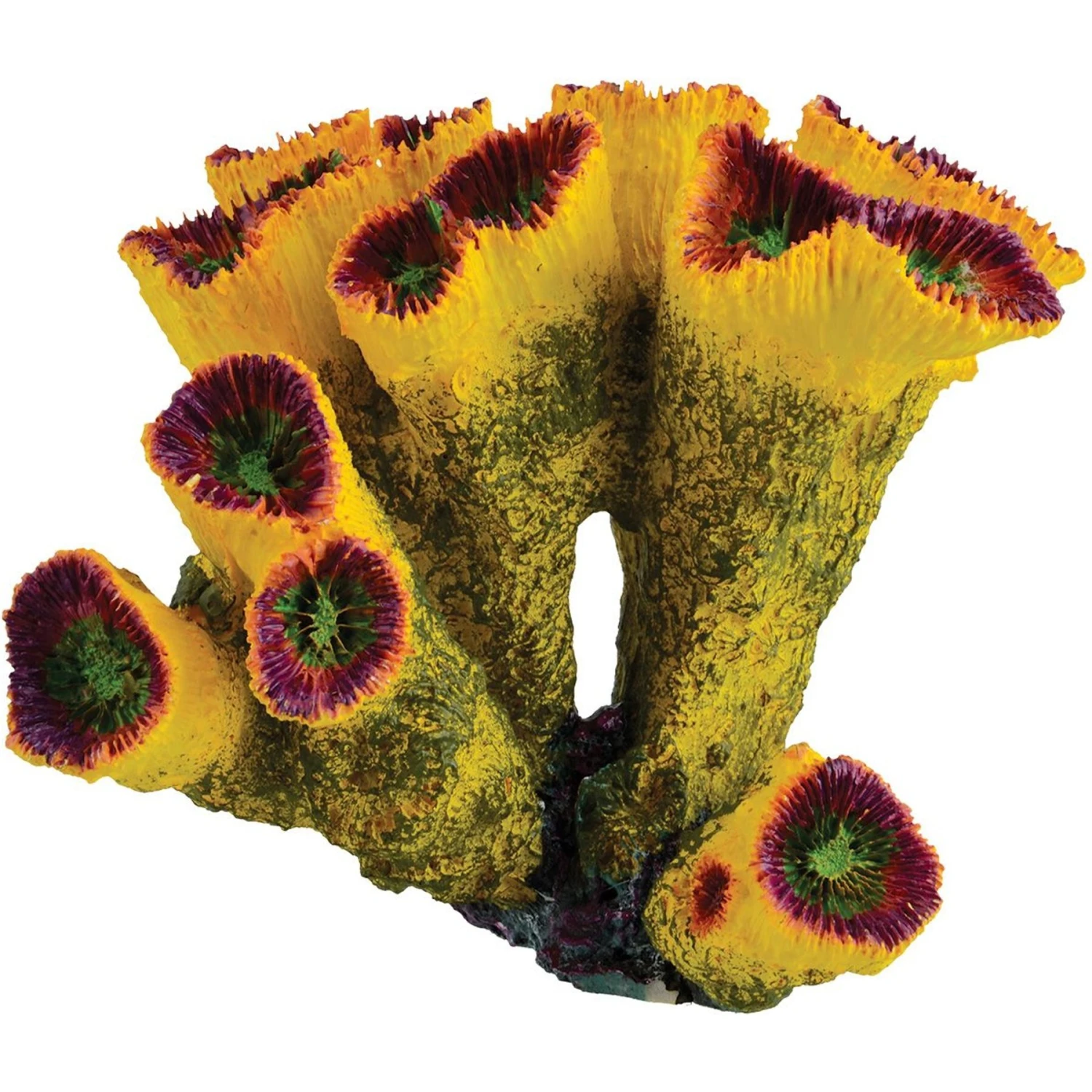 Underwater Treasures Sun Torch Coral Fish Ornament 3 Underwater Treasures Sun Torch Coral Fish Ornament