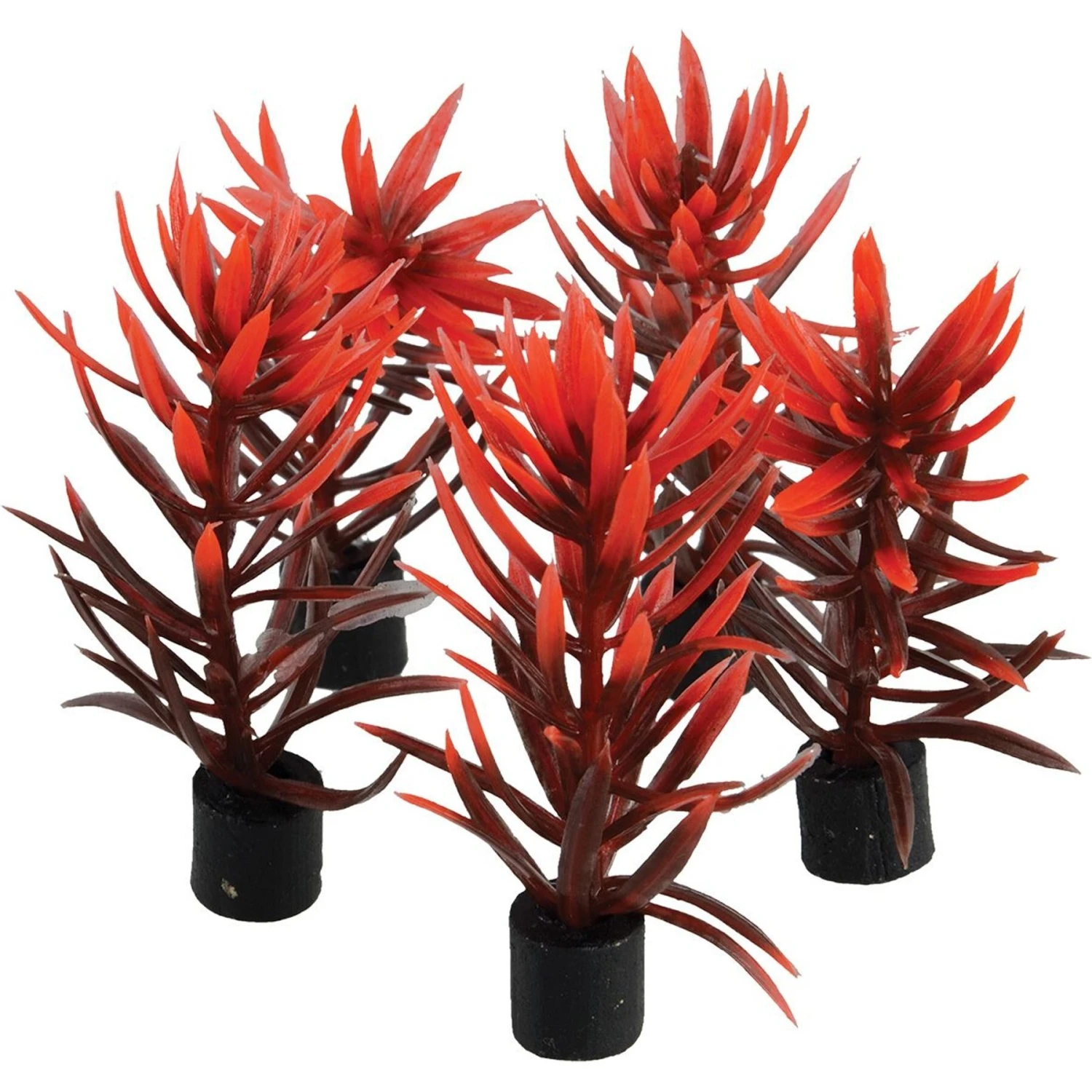 Underwater Treasures Mini Plant Red & Brown Fish Ornament, 3-in, 5 Count 3 Underwater Treasures Mini Plant Red & Brown Fish Ornament, 3-in, 5 Count