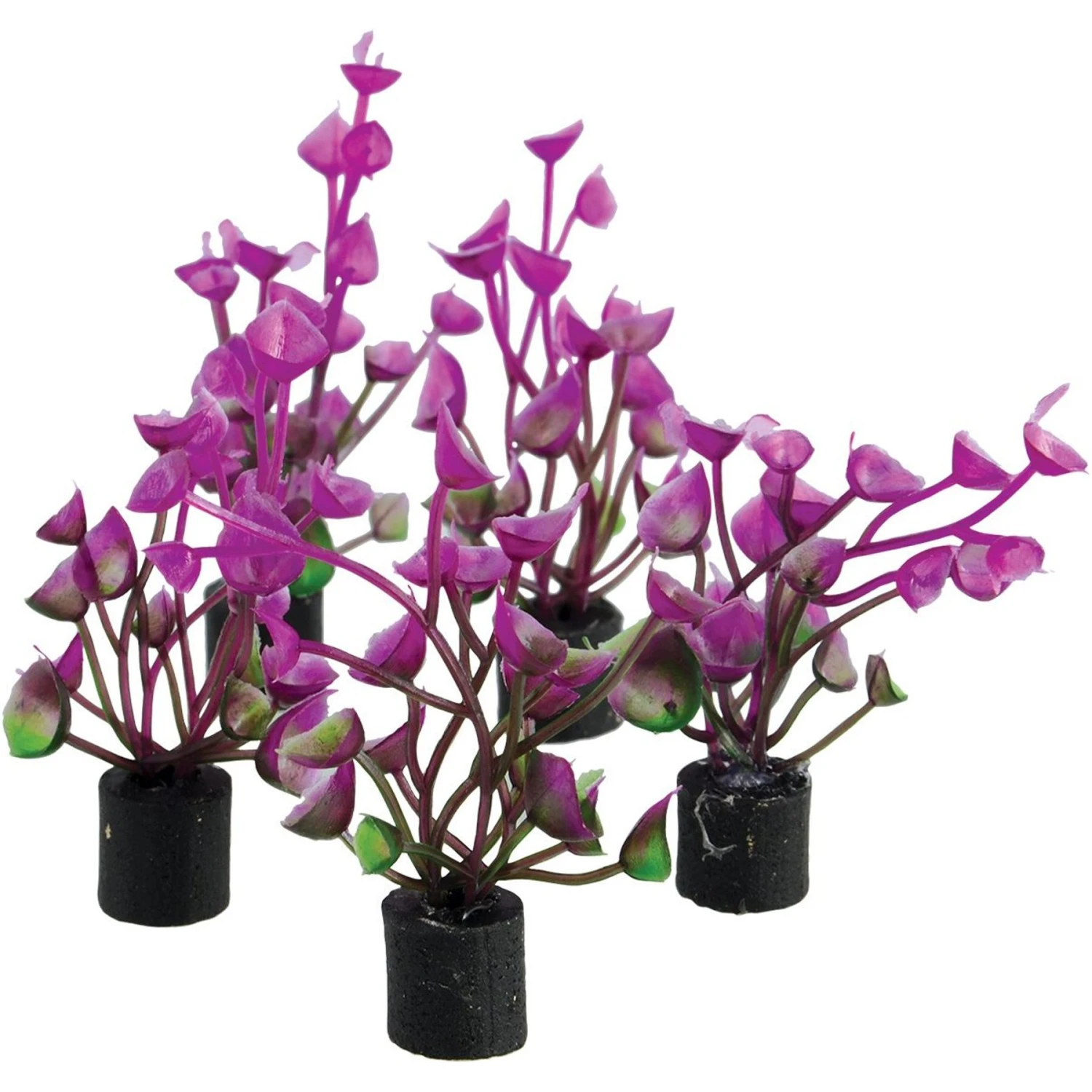 Underwater Treasures Mini Plant Purple Ear Fish Ornament, 5 Count 3 Underwater Treasures Mini Plant Purple Ear Fish Ornament, 5 Count