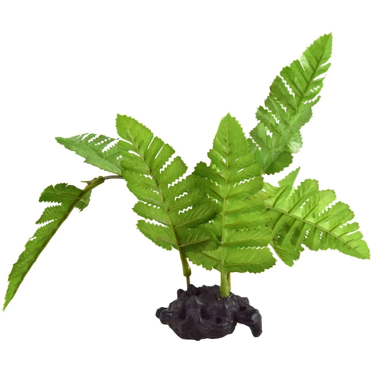 Underwater Treasures Maidenhair Fern Fish Ornament 3 Underwater Treasures Maidenhair Fern Fish Ornament
