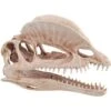 Underwater Treasures Dinosaur Skull Fish Ornament 2 Underwater Treasures Dinosaur Skull Fish Ornament -Fish Products 562846 MAIN. AC SS1800 V1657659679