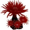 Underwater Treasures Duncan Coral Fish Ornament -Fish Products 563230 MAIN. AC SS1800 V1657824981