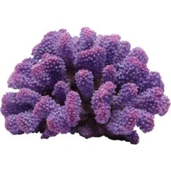 Underwater Treasures Toadstool Coral Fish Ornament