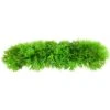 Underwater Treasures Green Star Fern Fish Ornament -Fish Products 563830 MAIN. AC SS1800 V1657659679