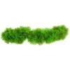 Underwater Treasures Creeping Jenny 2 Underwater Treasures Creeping Jenny -Fish Products 564174 MAIN. AC SS1800 V1657659680