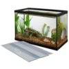 Frisco Aquarium, 5.5-gal & Frisco Aquarium Glass Canopy -Fish Products 567814 MAIN. AC SS1800 V1657659989