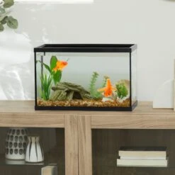 Frisco Aquarium, 5.5-gal & Frisco Aquarium Glass Canopy -Fish Products 567814 PT3. AC SS1800 V1657659989