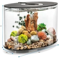 BiOrb LOOP 15 Standard Light Fish Aquarium, 4-gal 7 BiOrb LOOP 15 Standard Light Fish Aquarium, 4-gal -Fish Products 614398 PT2. AC SS1800 V1671226168
