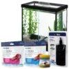 Aqueon PURE Betta Beads Aquarium Water Care + 4 Items 1 Aqueon PURE Betta Beads Aquarium Water Care + 4 Items -Fish Products 659966 MAIN. AC SS1800 V1666270984