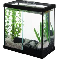 Aqueon PURE Betta Beads Aquarium Water Care + 4 Items -Fish Products 659966 PT1. AC SS1800 V1666298424