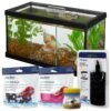 Frisco 3 Betta Aquarium With Divider/Top + 4 Items 1 Frisco 3 Betta Aquarium With Divider/Top + 4 Items -Fish Products 659998 MAIN. AC SS1800 V1666270983