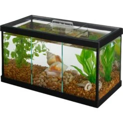 Frisco 3 Betta Aquarium With Divider/Top + 4 Items -Fish Products 659998 PT1. AC SS1800 V1666296949