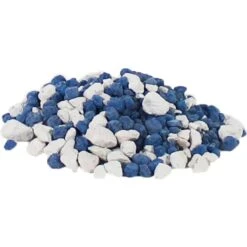 Penn-Plax Nickelodeon Baby Shark Rite-Bite Educational Betta Tank Fish Aquarium, 1.13-gallon -Fish Products 674806 PT5. AC SS1800 V1667488642