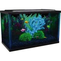 GloFish LED Lighting & Filter Aquarium Kit -Fish Products 684566 PT2. AC SS1800 V1668628229