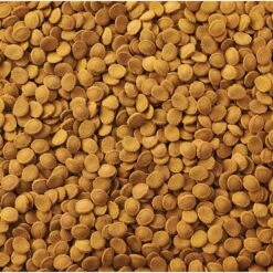 GloFish Shark & Cory Catfish Wafers Fish Food, 1.58-oz Pouch -Fish Products 685342 PT4. AC SS1800 V1668627066