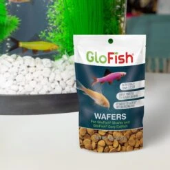 GloFish Shark & Cory Catfish Wafers Fish Food, 1.58-oz Pouch -Fish Products 685342 PT6. AC SS1800 V1668628225