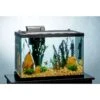 Tetra Aquarium + LED Lighting & Decor Fish Aquariums, 20-gal -Fish Products 696158 MAIN. AC SS1800 V1671644229