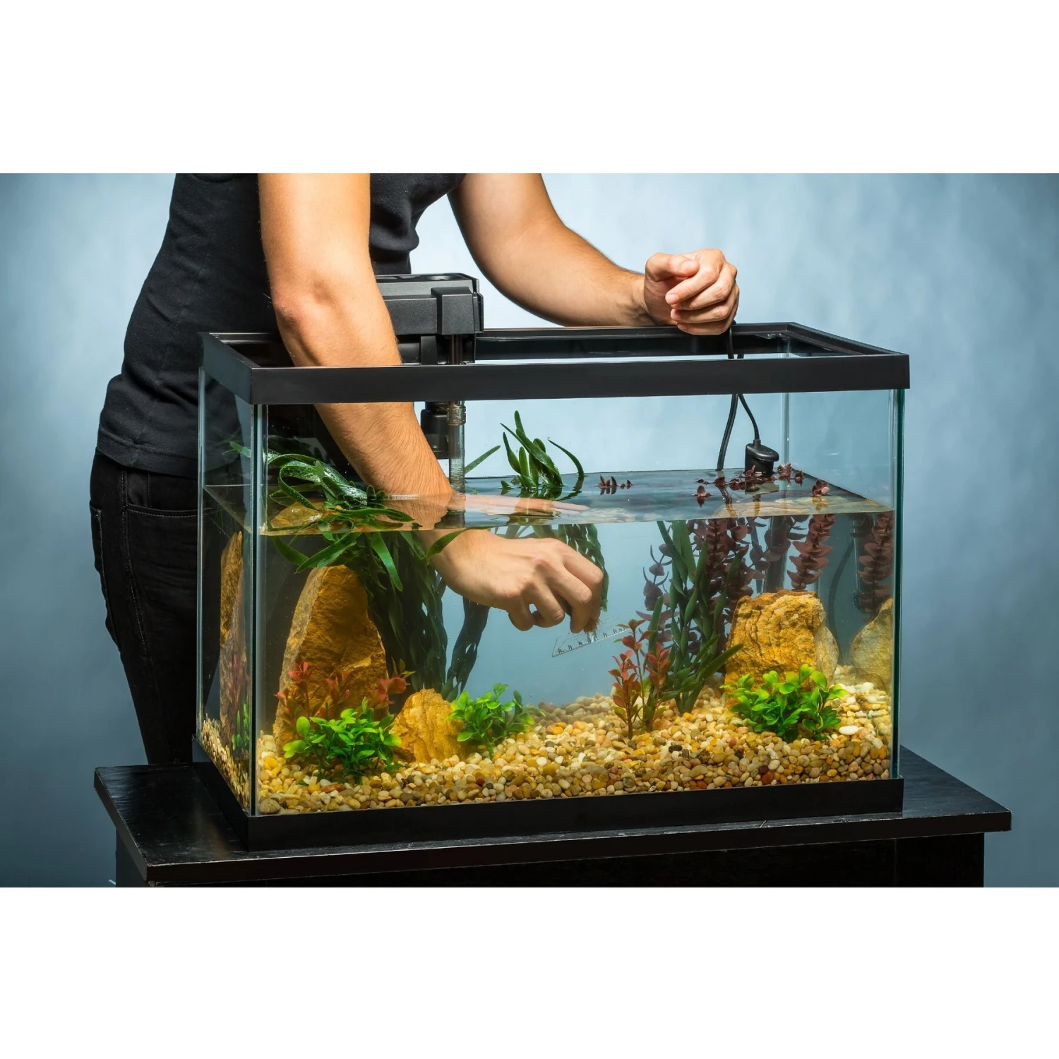 Tetra Aquarium + LED Lighting & Decor Fish Aquariums, 20-gal 7 Tetra Aquarium + LED Lighting & Decor Fish Aquariums, 20-gal - Image 5