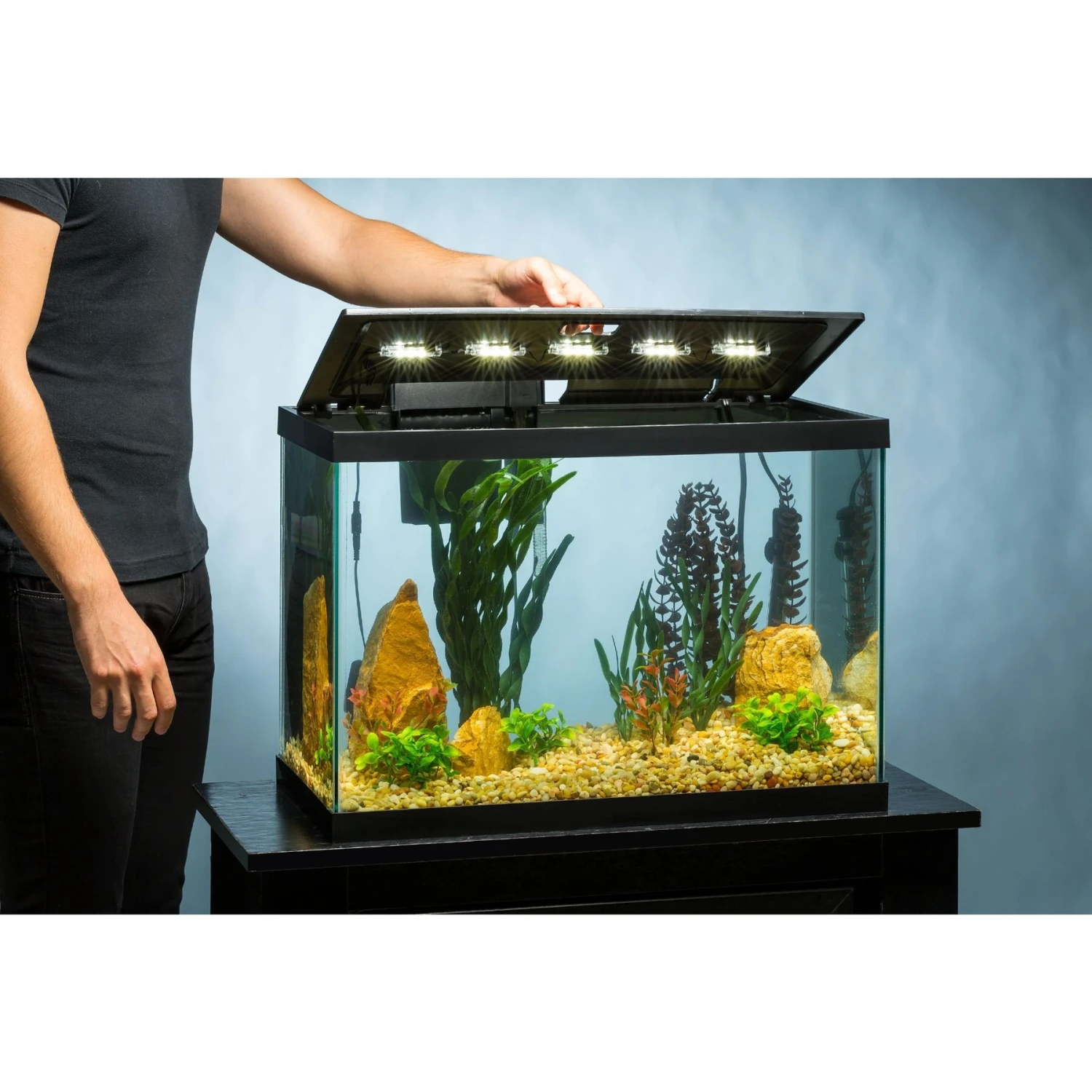 Tetra Aquarium + LED Lighting & Decor Fish Aquariums, 20-gal 8 Tetra Aquarium + LED Lighting & Decor Fish Aquariums, 20-gal - Image 6