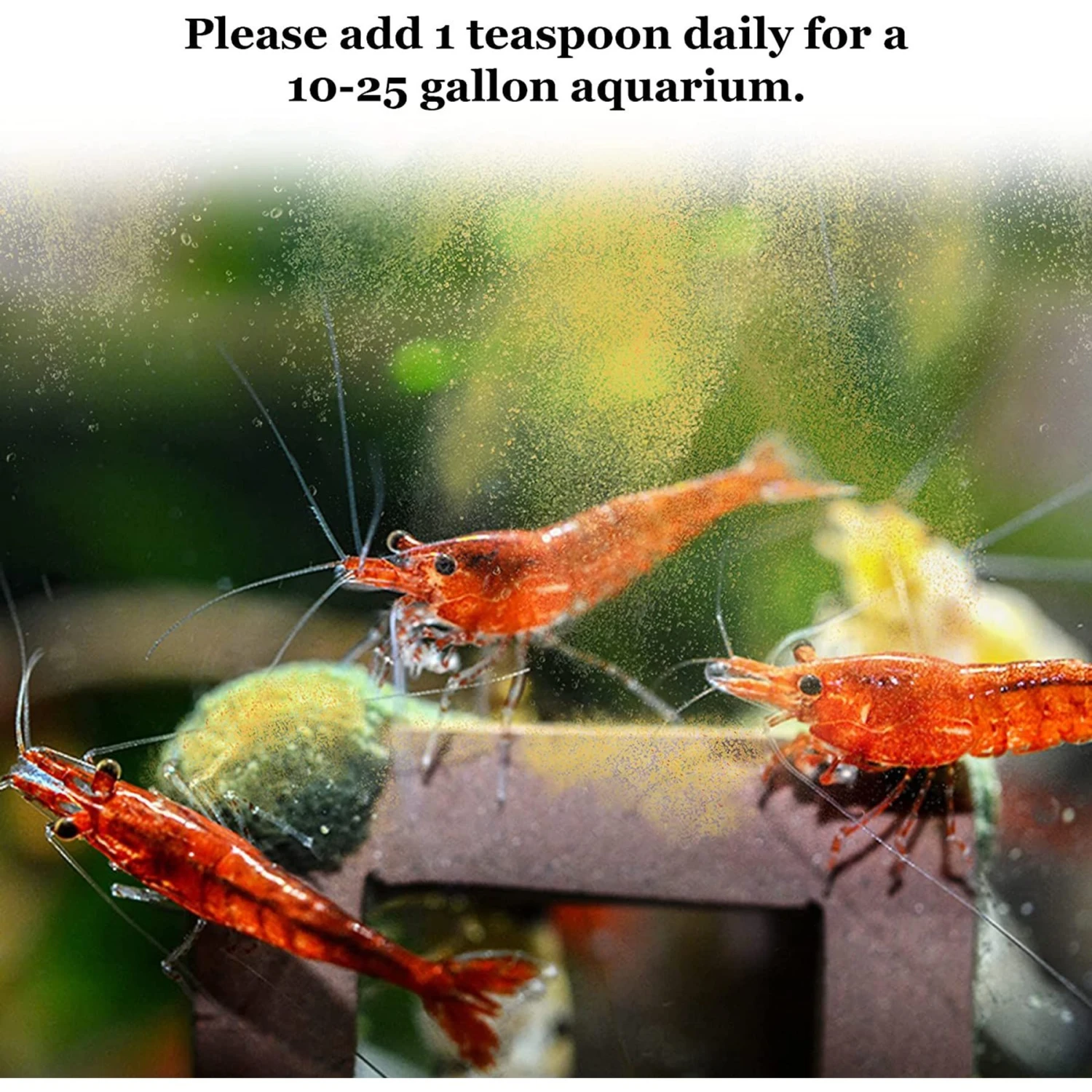 SunGrow Probiotic Powder Supplement For Freshwater Aquarium Baby Cherry Shrimp Food, 2-oz Bag 8 SunGrow Probiotic Powder Supplement For Freshwater Aquarium Baby Cherry Shrimp Food, 2-oz Bag - Image 6