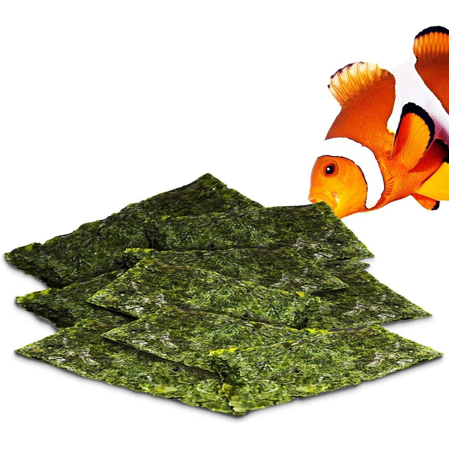 SunGrow Dried Green Seaweed Sheets Snack For Betta & Hermit Crab, Veggie Fish Food Supplement 4 SunGrow Dried Green Seaweed Sheets Snack For Betta & Hermit Crab, Veggie Fish Food Supplement - Image 2