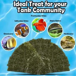 SunGrow Dried Green Seaweed Sheets Snack For Betta & Hermit Crab, Veggie Fish Food Supplement 8 SunGrow Dried Green Seaweed Sheets Snack For Betta & Hermit Crab, Veggie Fish Food Supplement -Fish Products 697534 PT2. AC SS1800 V1682627506
