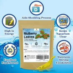 SunGrow Dried Mulberry Leaves Growth Supplement For Freshwater Aquarium Snail & Cherry Shrimp Food -Fish Products 712942 PT2. AC SS1800 V1688417253