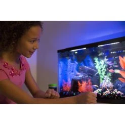 GloFish Volcano Aquarium Ornament -Fish Products 714638 PT5. AC SS1800 V1670614730