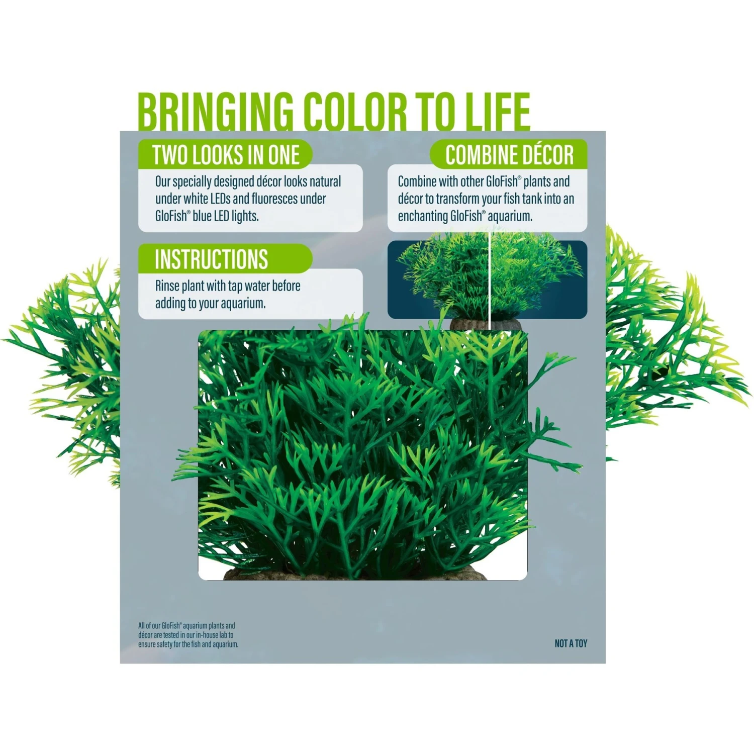 GloFish Javamoss Aquarium Plant 4 GloFish Javamoss Aquarium Plant - Image 2