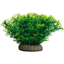 GloFish Javamoss Aquarium Plant 13 GloFish Javamoss Aquarium Plant -Fish Products 714686 PT2. AC SS1800 V1670614733