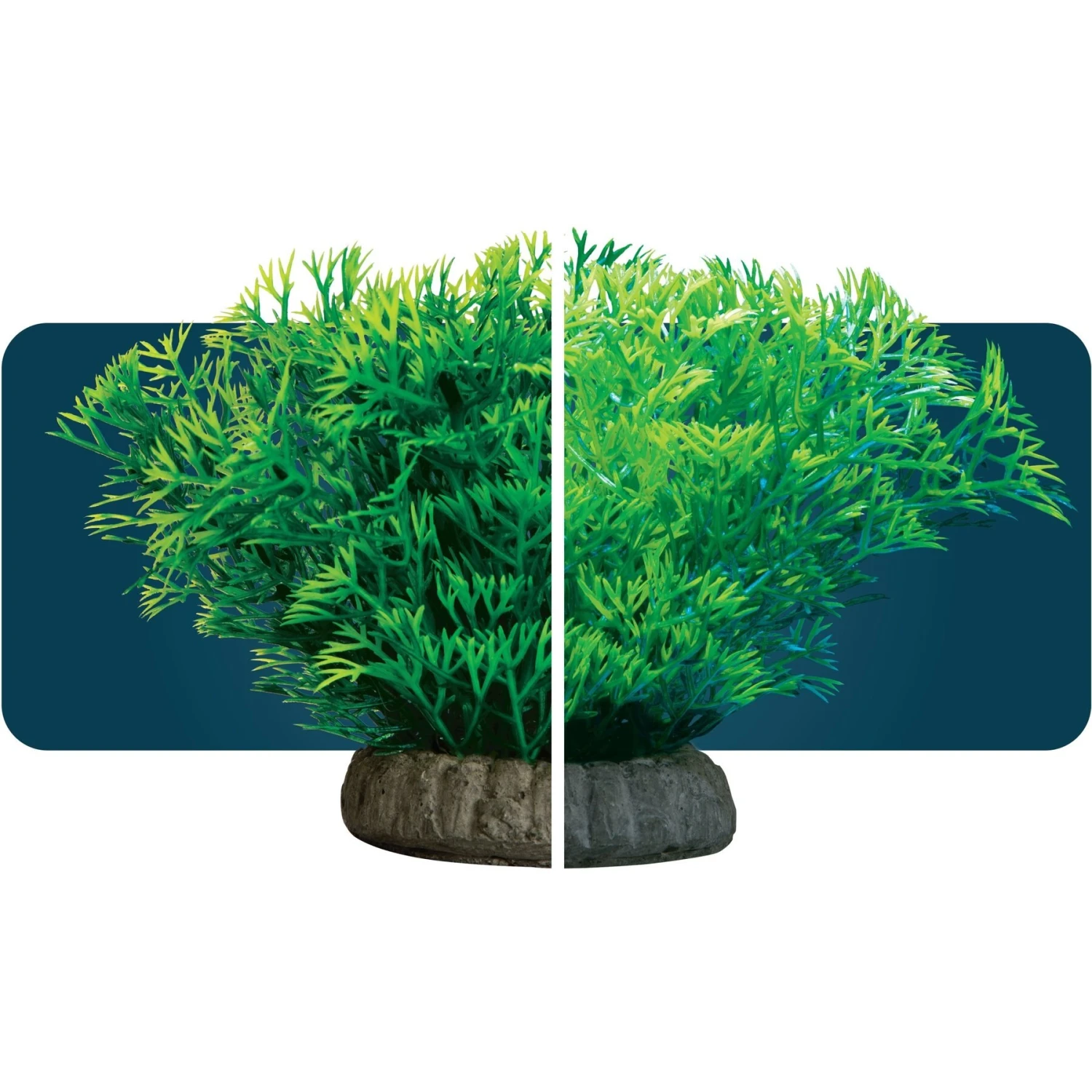 GloFish Javamoss Aquarium Plant 7 GloFish Javamoss Aquarium Plant - Image 5