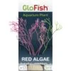 GloFish Red Algae Aquarium Plant -Fish Products 714702 MAIN. AC SS1800 V1670614675