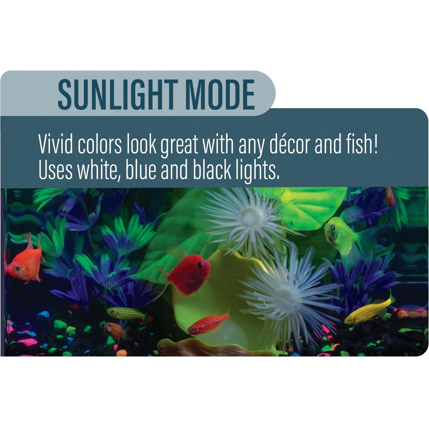 GloFish Cycle Aquarium Light, 75-gal 8 GloFish Cycle Aquarium Light, 75-gal - Image 6