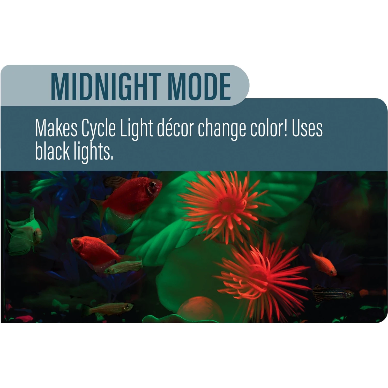 GloFish Cycle Aquarium Light, 75-gal 10 GloFish Cycle Aquarium Light, 75-gal - Image 8
