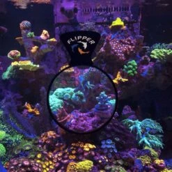 Flipper DeepSee Viewer Fish Coral Care -Fish Products 755326 PT2. AC SS1800 V1673467488