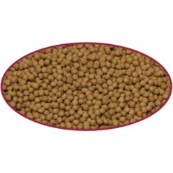 Cobalt Aquatics Cichlid Medium Pellet Fish Food 9 Cobalt Aquatics Cichlid Medium Pellet Fish Food -Fish Products 765934 PT2. AC SS1800 V1676321731