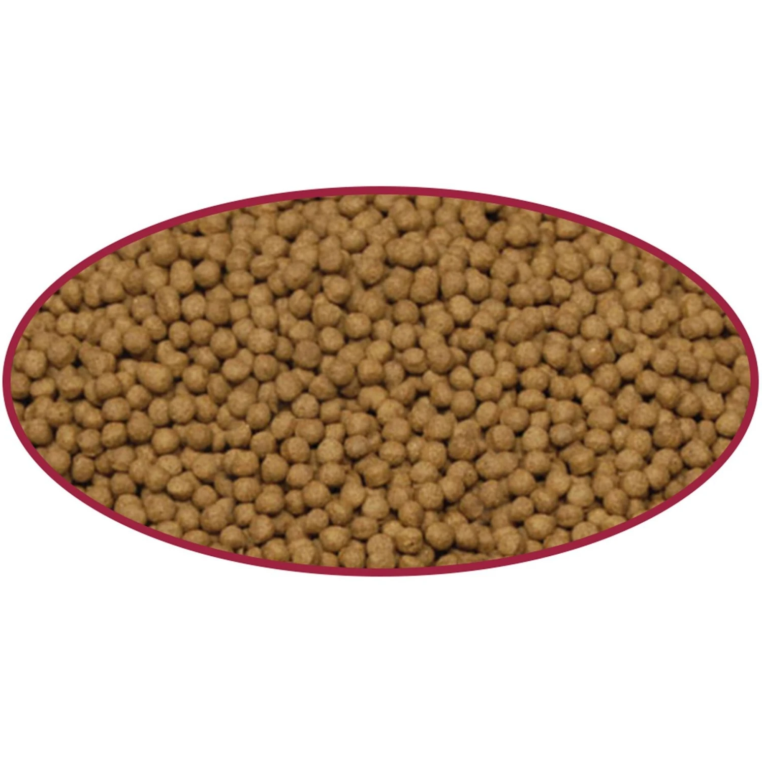 Cobalt Aquatics Cichlid Medium Pellet Fish Food 5 Cobalt Aquatics Cichlid Medium Pellet Fish Food - Image 3